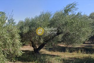 Οικόπεδο 971 τ.μ. προς πώληση, Μόδι Πλατανιά-thumb-1