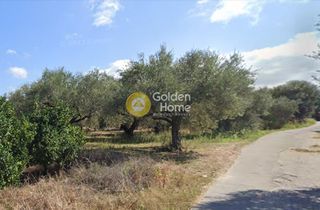 Οικόπεδο 971 τ.μ. προς πώληση, Μόδι Πλατανιά-thumb-2