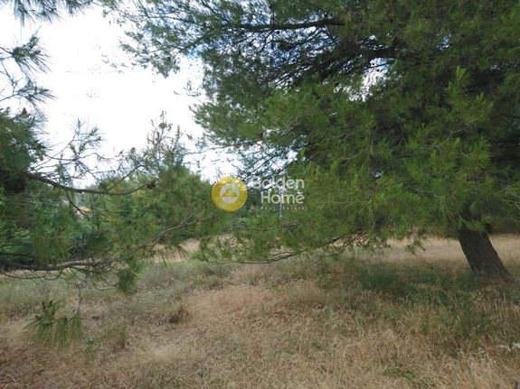 Land plot 2.915 sqm for sale, Athens - North, Krioneri