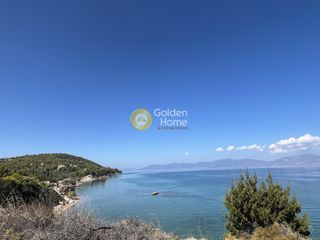 Αγροτεμάχια 10.000 τ.μ. για πώληση