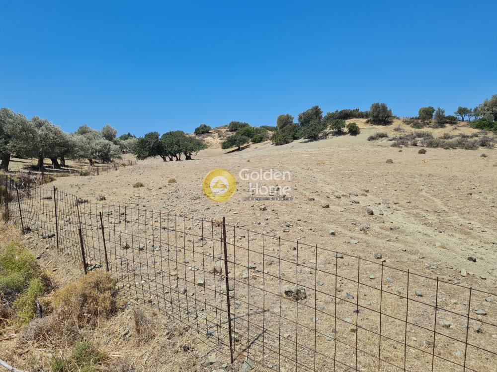 Οικόπεδο 4.315 τ.μ. πρός πώληση, Ν. Ρεθύμνου, Λάμπη