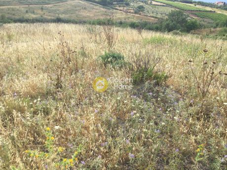 Αγροτεμάχια 6.224 τ.μ. για πώληση