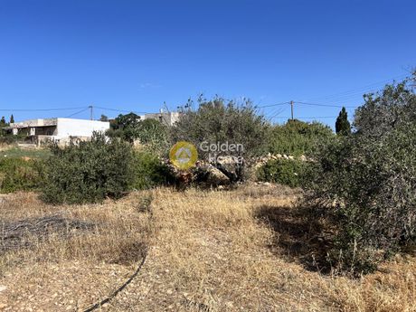 Οικόπεδο 850τ.μ. για πώληση-Πάρος » Αλυκή