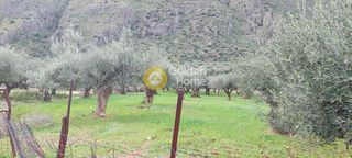 Οικόπεδο 3.196 τ.μ. για πώληση