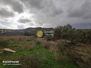 Αγροτεμάχια 9.000 τ.μ. για πώληση