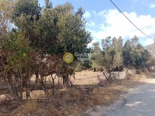 Οικόπεδο 6.737 τ.μ. για πώληση