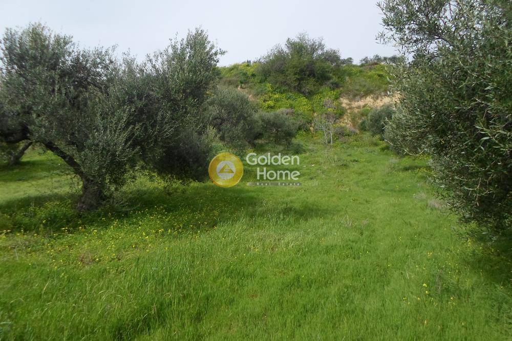 Οικόπεδο 1.851 τ.μ. προς πώληση, Σκαλάνι