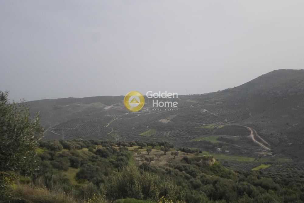 Οικόπεδο 1.851 τ.μ. προς πώληση, Σκαλάνι