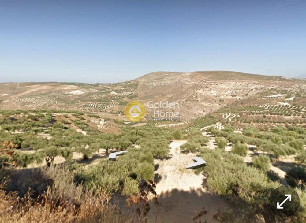 Οικόπεδο 1.851 τ.μ. προς πώληση, Σκαλάνι