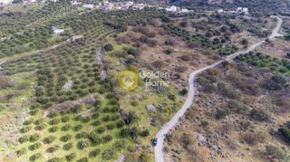 Οικόπεδο 5.700 τ.μ. για πώληση, Ν. Λασιθίου, Νεάπολη-thumb-5