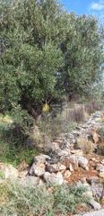 Οικόπεδο 5.700 τ.μ. για πώληση, Ν. Λασιθίου, Νεάπολη-thumb-15