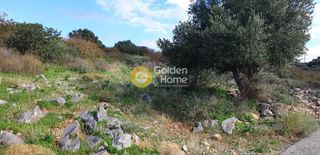 Οικόπεδο 5.700 τ.μ. για πώληση, Ν. Λασιθίου, Νεάπολη-thumb-13
