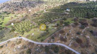 Οικόπεδο 5.700 τ.μ. για πώληση, Ν. Λασιθίου, Νεάπολη-thumb-2