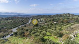 Οικόπεδο 5.700 τ.μ. για πώληση, Ν. Λασιθίου, Νεάπολη-thumb-8