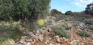 Οικόπεδο 5.700 τ.μ. για πώληση, Ν. Λασιθίου, Νεάπολη-thumb-16