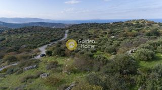 Οικόπεδο 5.700 τ.μ. για πώληση, Ν. Λασιθίου, Νεάπολη-thumb-6