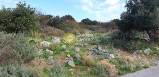 Οικόπεδο 5.700 τ.μ. για πώληση, Ν. Λασιθίου, Νεάπολη-thumb-14