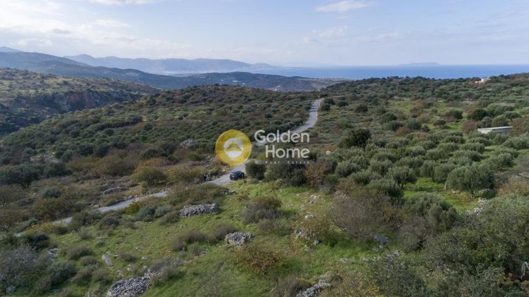 Οικόπεδο 5.700 τ.μ. για πώληση, Ν. Λασιθίου, Νεάπολη