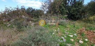 Οικόπεδο 5.700 τ.μ. για πώληση, Ν. Λασιθίου, Νεάπολη-thumb-19