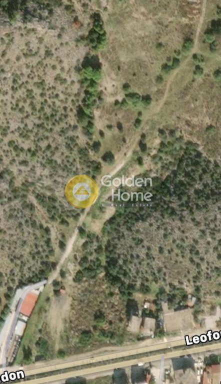 Αγροτεμάχια 2.000 τ.μ. προς ενοικίαση, Κίτσι