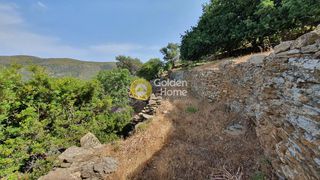 Οικόπεδο 34.000 τ.μ. για πώληση