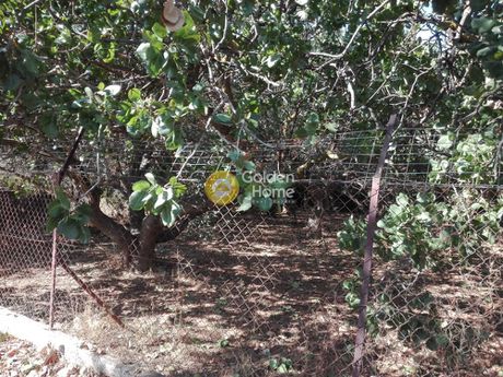 Land plot 838 sqm for sale