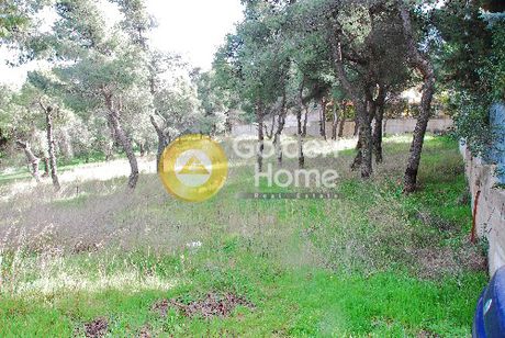 Οικόπεδο 1.650 τ.μ. για πώληση