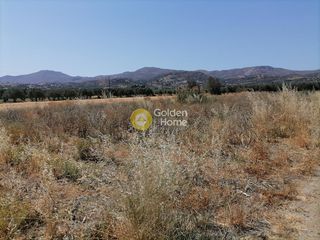 Αγροτεμάχια 3.168 τ.μ. για πώληση