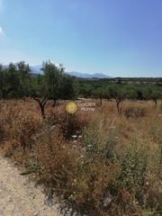 Οικόπεδο 273 τ.μ. για πώληση