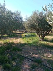 Οικόπεδο 5.218 τ.μ. για πώληση