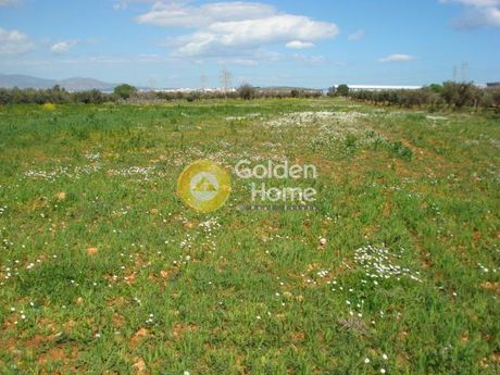 Οικόπεδο 18.650 τ.μ. για πώληση