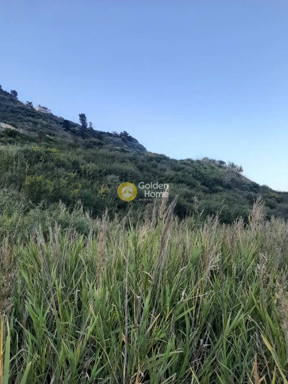 Οικόπεδο 8.500 τ.μ. προς πώληση, Αθάνατοι