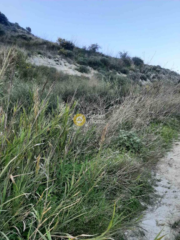 Οικόπεδο 8.500 τ.μ. προς πώληση, Αθάνατοι