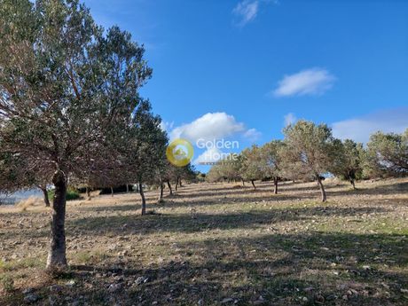 Οικόπεδο 5.111τ.μ. για πώληση-Κερατέα » Κέντρο