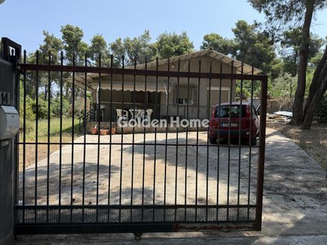 Μονοκατοικία 63τ.μ. για πώληση-Άνοιξη » Φασιδέρη