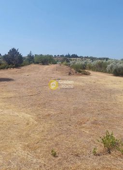 Αγροτεμάχια 9.000τ.μ. για πώληση-Κορωπί » Καρελλάς