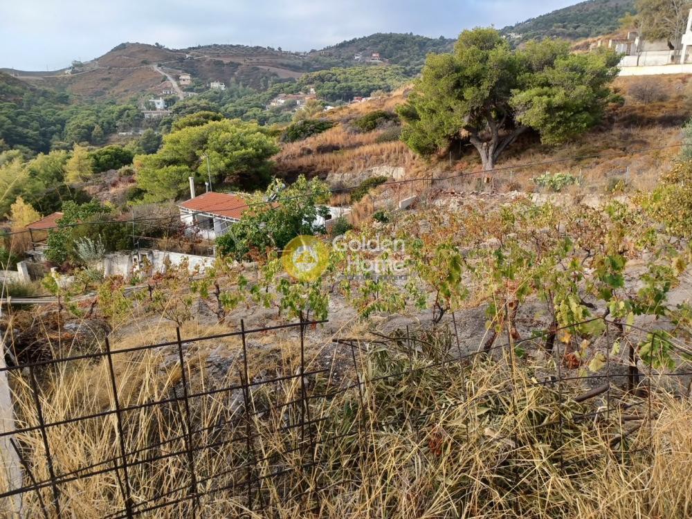 Αγροτεμάχια 330 τ.μ. προς πώληση, Διόνυσος Κερατέας