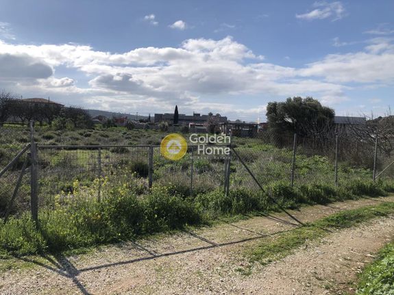 Parcel 3.000 sqm for rent, Athens - East, Koropi