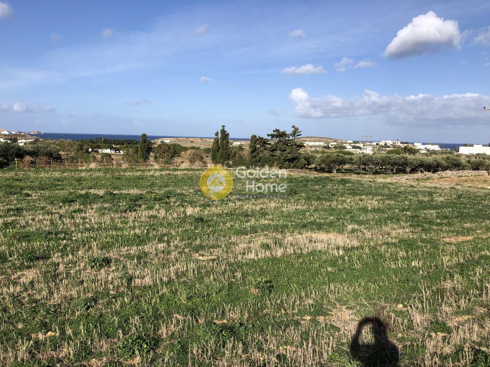 Αγροτεμάχια 14.310 τ.μ. προς πώληση, Παράσπορος