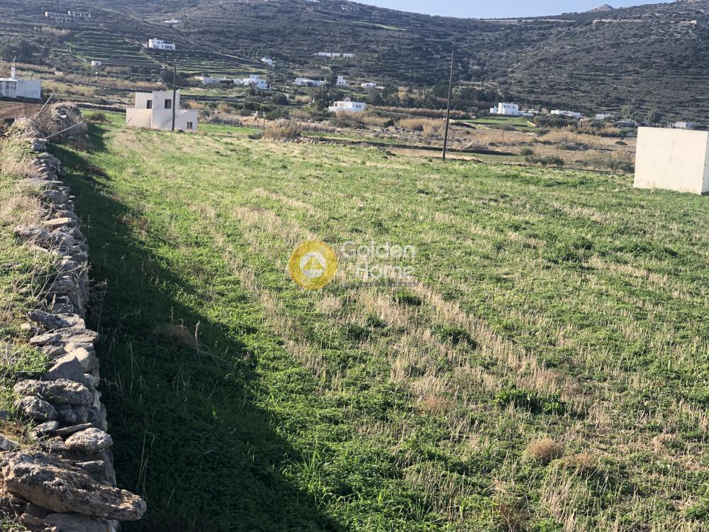 Αγροτεμάχια 14.310 τ.μ. προς πώληση, Παράσπορος