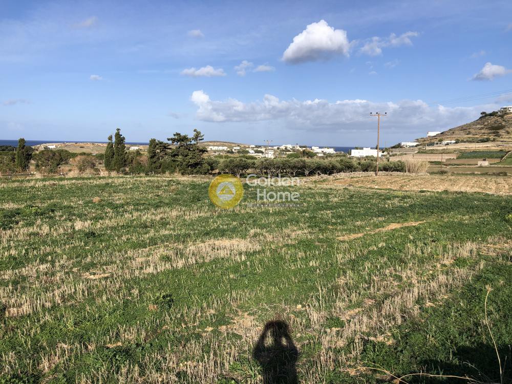 Αγροτεμάχια 14.310 τ.μ. προς πώληση, Παράσπορος