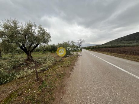 Οικόπεδο 20.000τ.μ. για πώληση-Αταλάντη » Μεγαπλάτανος