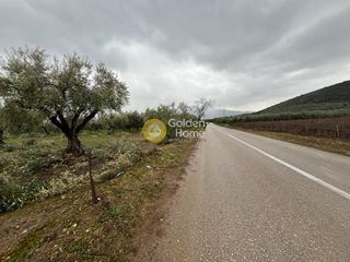 Οικόπεδο 20.000 τ.μ. για πώληση