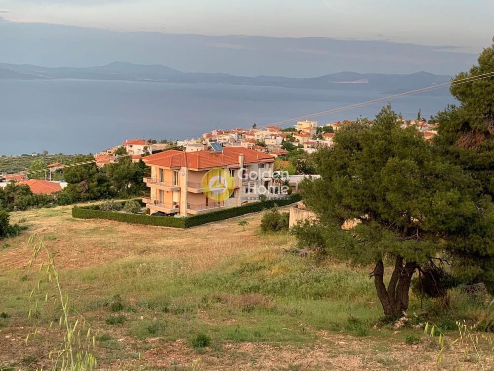 Μονοκατοικία 396 τ.μ. προς πώληση, Κέντρο Καλάμου