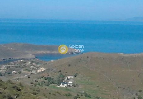 Αγροτεμάχια 16.797 τ.μ. προς πώληση