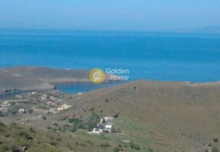 Αγροτεμάχια 16.797 τ.μ. για πώληση