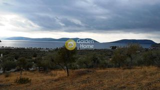 Οικόπεδο 6.650 τ.μ. για πώληση