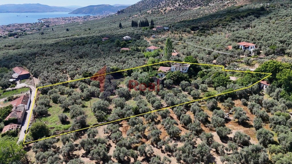 Αγροτεμάχια 6.919 τ.μ. πρός πώληση, Μαγνησία, Αρτέμιδα