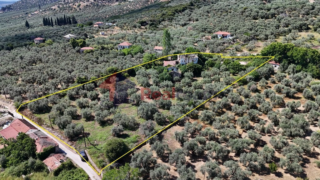 Αγροτεμάχια 6.919 τ.μ. πρός πώληση, Μαγνησία, Αρτέμιδα
