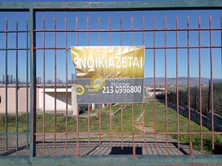 Οικόπεδο 4.200 τ.μ. για ενοικίαση, Βοιωτία, Θήβα-thumb-4